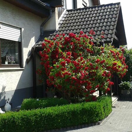 Ferienwohnung Raupe 弗里茨拉尔 外观 照片