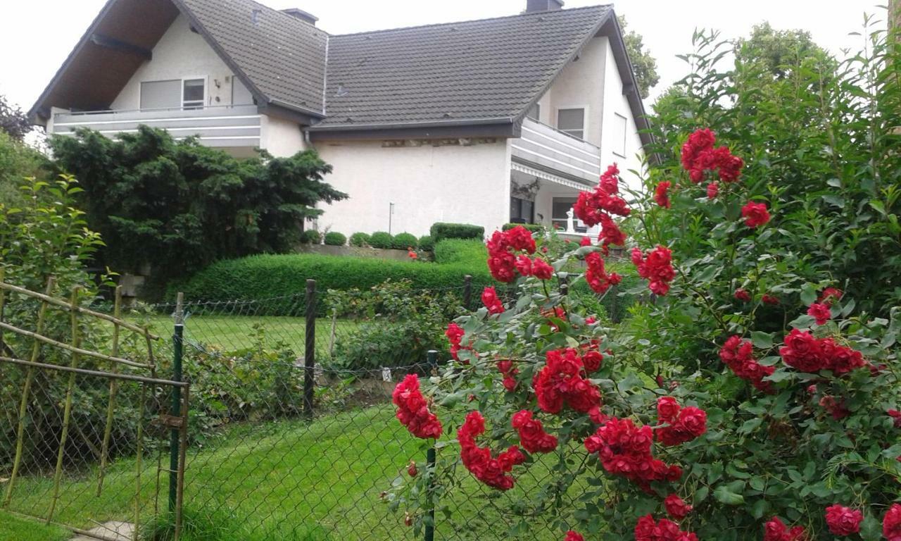 Ferienwohnung Raupe 弗里茨拉尔 外观 照片